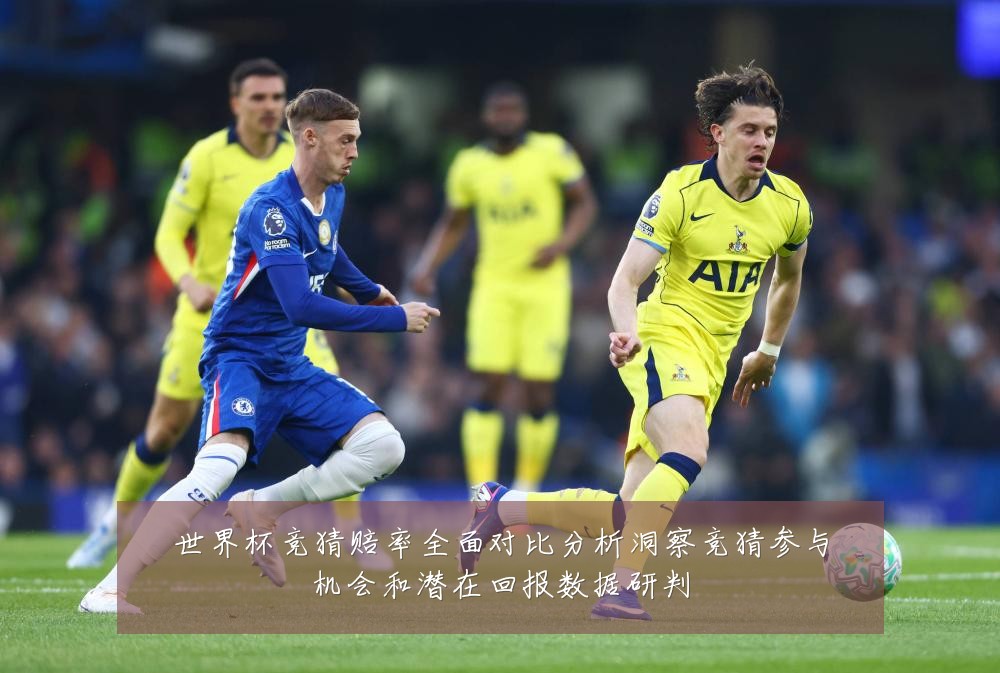 世界杯竞猜赔率全面对比分析洞察竞猜参与机会和潜在回报数据研判